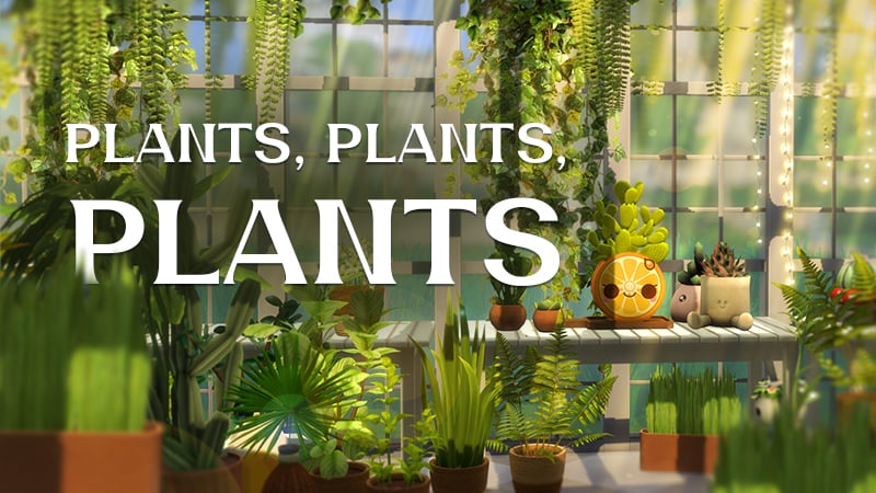 TSR Plants