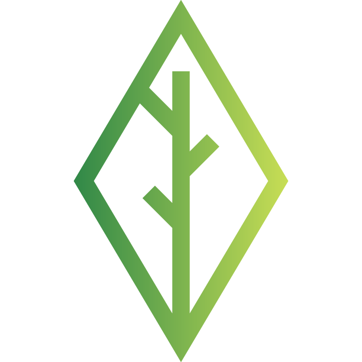 Silicon